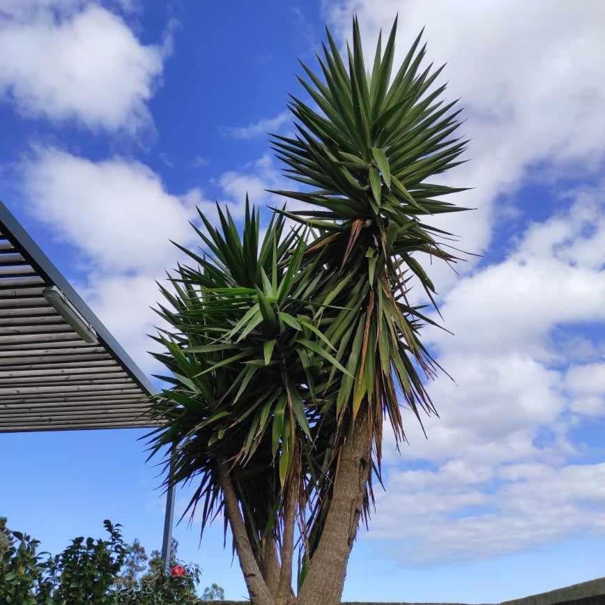 Casas Do Forneiro A Casa 2 Pessoas Holiday home Nordeste (Azores)